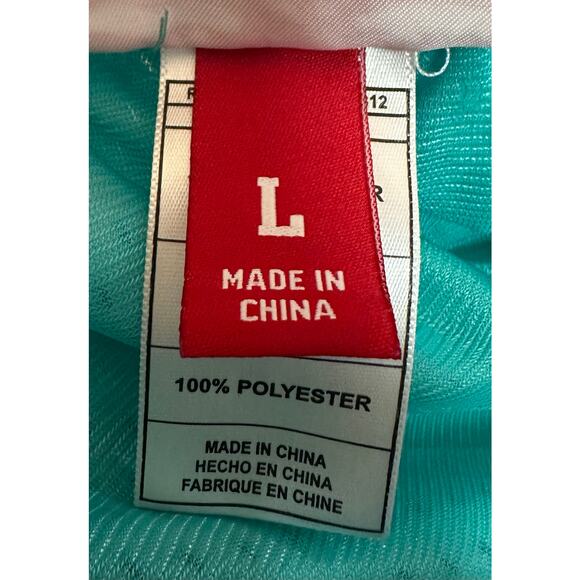 Mitchell & Ness Vancouver Grizzlies Hardwood Classic 96/97 Swingman Shorts Large - Picture 3 of 5